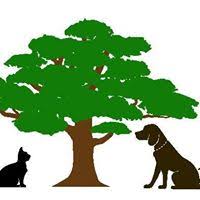 We did not find results for: 6 Top Rated Veterinarians In Santa Fe New Mexico Best Reviewed Experts