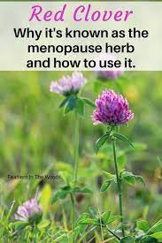 Pin On Health Tips Info