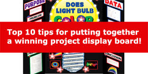 10 Tips For A Winning Science Project Display Board
