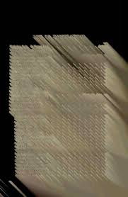 Image result for Trichopteryx elegantula