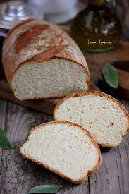 Brot selber backen rezept, semmeln. Paine De Casa Reteta Rapida Gata In 30 De Minute Laura Adamache