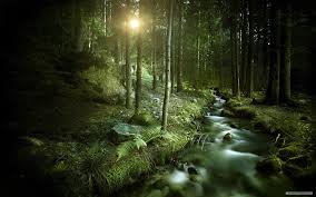Access to thousands of wallpapers. Windows Wallpapers Themes Wallpaper Cave