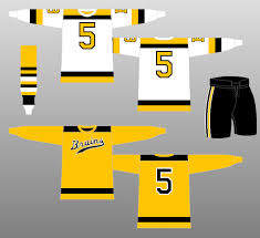 As one of the nhl's original 6 franchises, the bruins are lucky to have a wealth of jerseys to reflect on. Boston Bruins Logo History