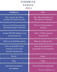 What Is The Difference Between Fimbriae And Pili Pediaa Com Biology Notes Biology Lessons Mcat Study