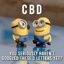 Pin On Cbd Memes