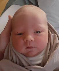 Spruce Grove Newsletter