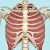 But there are other causes which could be serious and require a prompt medical care. 1