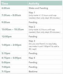 Cat Feeding Schedule Template Lorgprintmakers Pet Feeding