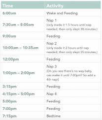 cat feeding schedule template lorgprintmakers pet feeding