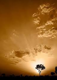 Divine Light Divine Light Beautiful Images Photo