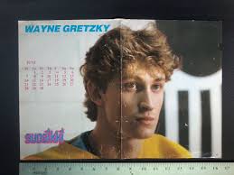 Wayne Gretzky Edmonton Oilers Hockey Vintage Sports Posters for sale