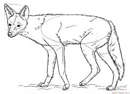 How To Draw A Jackal Step By Step Drawing Tutorials Colorful Drawings Drawing Tutorial Super Coloring Pages