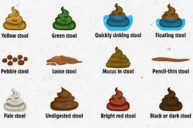 Image result for yellow stool human poop