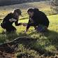 Gisborne wild forage fun! event image