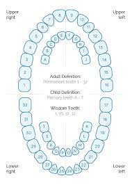A Glossary Of Dental Terms Assembled For Users Reference This Dental Dictionary Is Updated Dental Hygiene Student Dental Assistant Study Dental Hygiene School