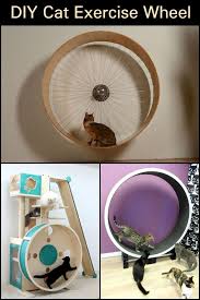 We studied some pics and decided to make a step by step video. How To Build A Cat Exercise Wheel Diy Projects For Everyone Cat Exercise Wheel Diy Cat Exercise Wheel Cat Exercise