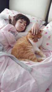 Kedi Sevgisi Animals Cats Cute