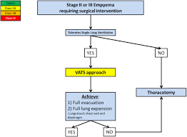 Maybe you would like to learn more about one of these? The American Association For Thoracic Surgery Consensus Guidelines For The Management Of Empyema The Journal Of Thoracic And Cardiovascular Surgery