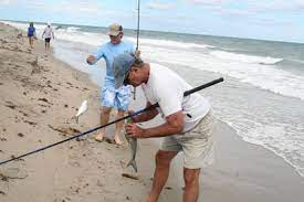 From fishing off our piers and surf, to deep sea fishing excursions offshore in the atlantic, to just spending a great day on the water with family and friends, cocoa beach and the entire space coast of florida offers you the absolute best of fishing and boating fun! Beach Fishing Could Be Restricted In Fort Lauderdale South Florida Sun Sentinel South Florida Sun Sentinel