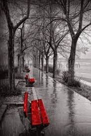Art Black And White Pictures To Color Perfect Red Pictures Color Splash Photography Splash Photography
