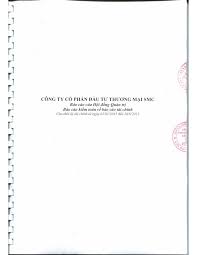 CÔNG TY CỔ PHẦN ĐẦU TƯ THƯƠNG MẠI SMC Báo cáo của Hội ...