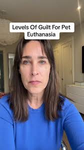 Levels of guilt for pet euthanasia #fyp #mmvhs #rainbowbridge  #rainbowbridge🌈 #petloss #petlosshurts #hospicevet #vetsoftiktok  #veterinary #peteuthanasia #dogeuthanasia #cateuthanasia #petpassing ...