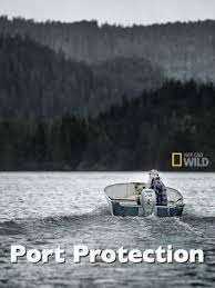 Rr Rrw Ul 180u Port Protection S01e01 Between Water And Wolves 480p Hdtv X264 Rmteam 429mb Protection Port Hdtv