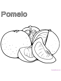 Free fruit orange s3916 coloring pages printable. Pomelo Coloring Page Pomelo Means Big Orange Pomelo Is An Orange Fruit Native To Southeast Asia Fruit Coloring Pages Coloring Pages Coloring Pages To Print