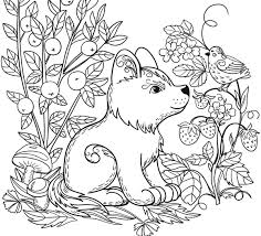 Our forest coloring pages allow children to explore ecosystems outside of our own. Cute Wild Animal Coloring Pages Novocom Top
