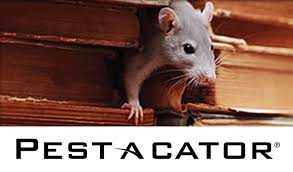 Listen to the first part of the i nterview and answer these 2 and it excites them to be able to do their job well, somebody else might find really, really. Pest A Cator 2000 Global Instruments Ltd