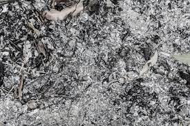 Meat, seafood, bones (raw and cooked) baked goods, bread, pastries. 5 Ways To Use Wood Ash In The Garden How To Store It Diy Crafts
