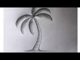 100% fully editable vector graphic. How To Draw Coconut Tree With Pencil Youtube