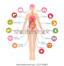 You can edit any of drawings via our online image editor before downloading. Shutterstock Puzzlepix