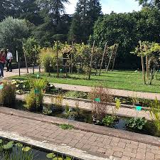2 pl château, 67000 strasbourg. Jardin Botanique De L Universite De Strasbourg Picture Of Jardin Botanique De L Universite De Strasbourg Tripadvisor