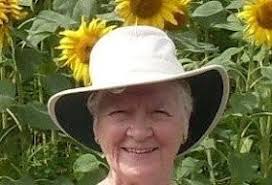 Quick Brown Fox: "Dissolution" by C.J. Sansom, reviewed by Gillian Butcher