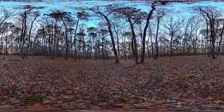 Check spelling or type a new query. L Isle Jourdain Map Of L Isle Jourdain 32600 France