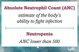 Check spelling or type a new query. Absolute Neutrophil Count Anc And Neutropenia Together