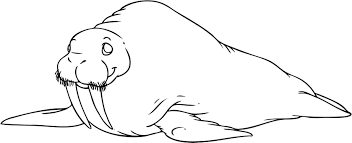 They're great for all ages. Free Printable Walrus Coloring Pages For Kids