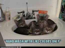 why do cats sleep in bathroom sinks