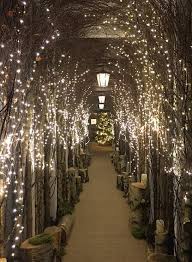 Kew gardens is a botanic garden in southwest london that houses the largest and most diverse botanical and mycological collections in the world. The Forest Restaurant Selfridges London Would Love Something Like This In A Garden A Gazebo Maybe Forest Restaurant Christmas Forest London Dreams