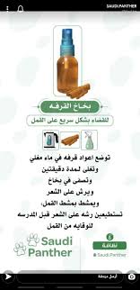 بخاخ القرفه للقضاء بشكل سريع على القمل Hair Care Hair Care