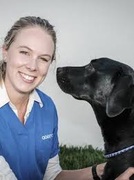 New pet Poppy laps up hi-tech surgery