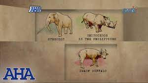 Aha Extinct Animals In The Philippines Youtube