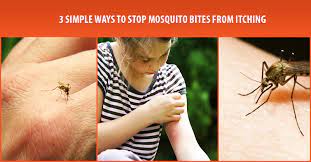 Mosquito bites itch because your immune system sends histamine to the area to repair damage. 3 Simple Ways To Stop Mosquito Bites From Itching