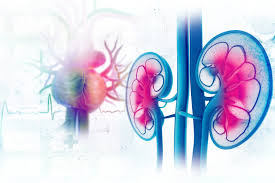 Smokers have a greater risk of kidney cancer than nonsmokers do. Kidney Cancer Renal Cancer Signs Symptoms Saint John S Cancer Institute Santa Monica Ca