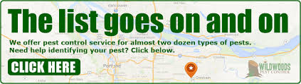 Maybe you would like to learn more about one of these? Wildwoods Pest Control