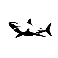 Black And White Shark Species 26 7cm X 60cm 2x Novelty White Shark Car Sticker For Cars Side Truck Window Auto Suv Door Kayak Vinyl Decal 8 Colors Shark Silhouette Shark Art Shark Tattoos