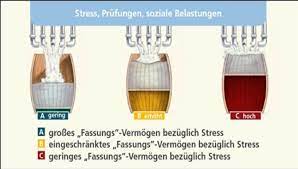 vulnerabilitats stress modell fassmodell psychologie repetico