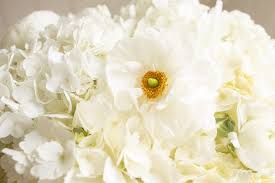 They also have a decent selection of cut flowers. Everything You Need To Know About Trader Joe S Flowers Julie Blanner