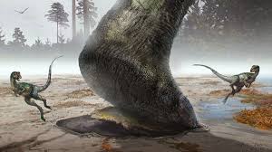 Jelajahi video terbaru dari tagar: Researchers Find Fossils Of Dinosaur Footprints